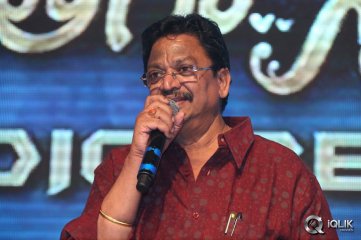 Nee Jathaga Nenundali Movie Audio Launch